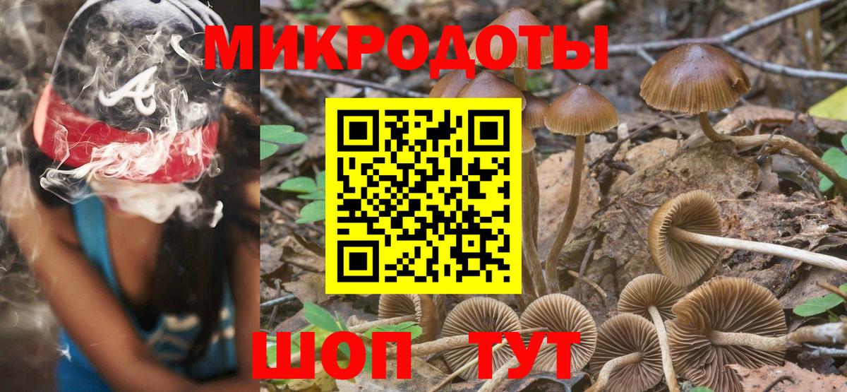 Галлюциногенные грибы GOLDEN TEACHER Вышний Волочёк