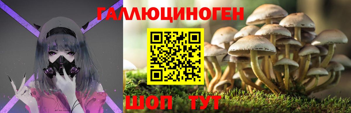 Вышний Волочёк  Галлюциногенные грибы ЛСД  закладки  Галлюциногенные грибы MAGIC MUSHROOMS  Вход с VPN 